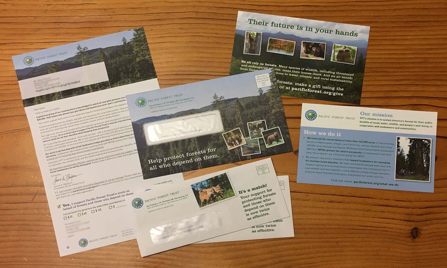 Direct mail pieces - Pacific Forest Trust