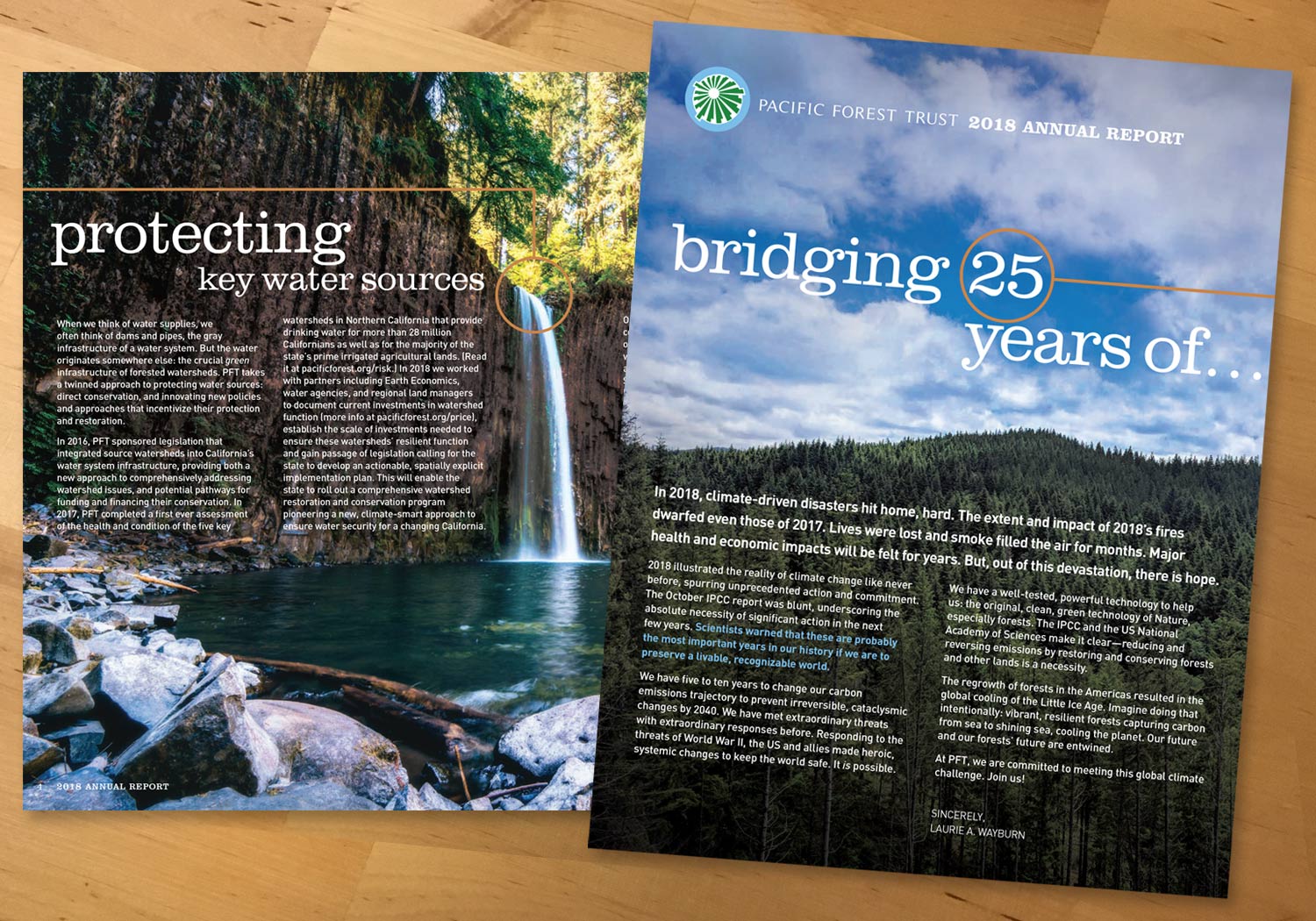 2018 Pacific Forest Trust Annual Report cover and spread