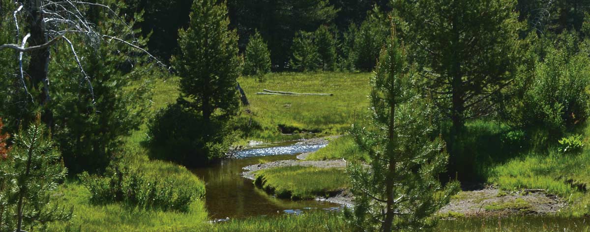 image of stream at PFT easement property